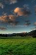 kangaroo valley.jpg